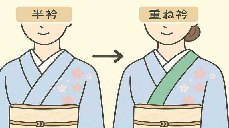 半衿との役割の違いを解説