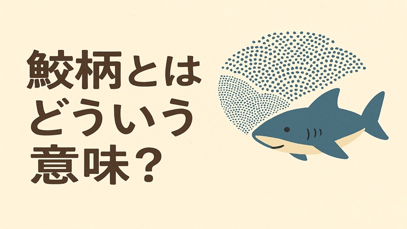 鮫柄とはどういう意味？